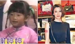 台湾节目爆料雪梨视频,真相令人震惊！